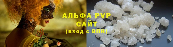 PSILOCYBIN Михайлов