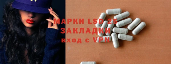 PSILOCYBIN Михайлов