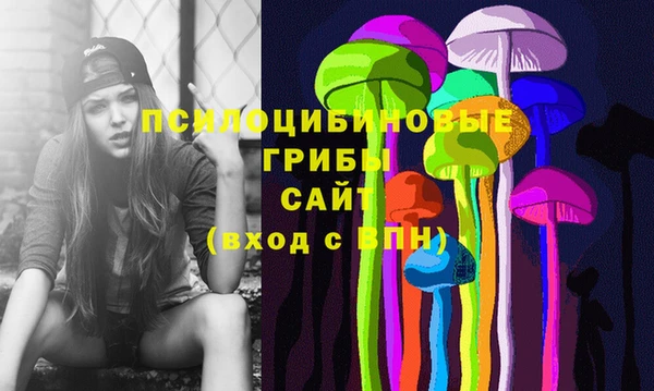 PSILOCYBIN Михайлов
