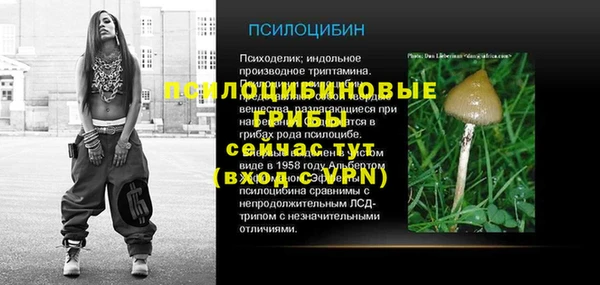 apvp Михайловск