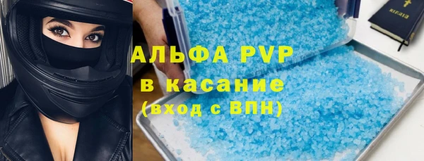 PSILOCYBIN Михайлов