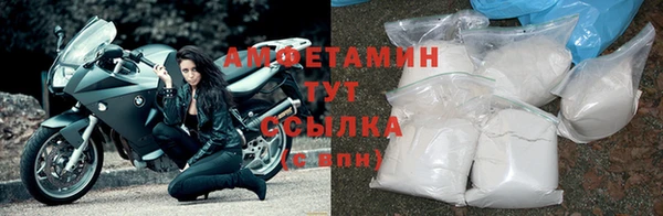 PSILOCYBIN Михайлов